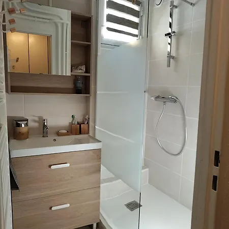 Appartement T2 Au Pied Cote Brune à 100 M Du Jandri Les Deux Alpes