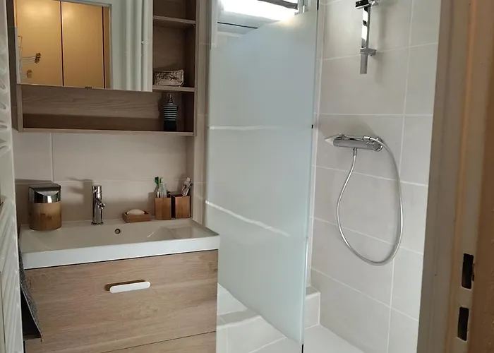 Appartamento T2 Au Pied Cote Brune à 100 M Du Jandri Les Deux Alpes