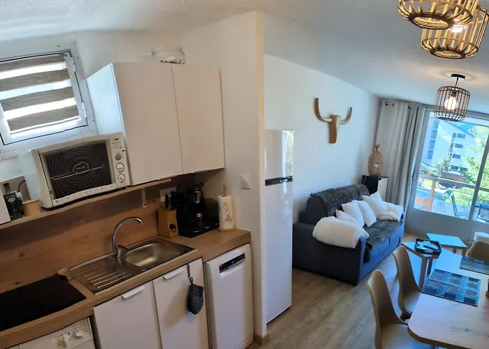 Appartamento T2 Au Pied Cote Brune à 100 M Du Jandri Les Deux Alpes